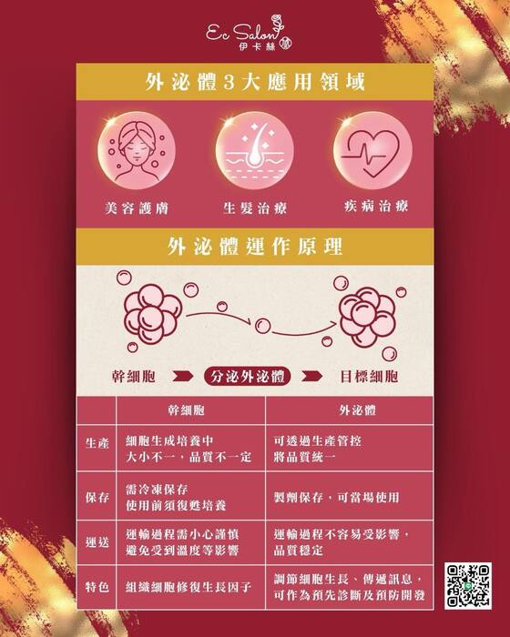 伊卡絲 ECSALON圖片