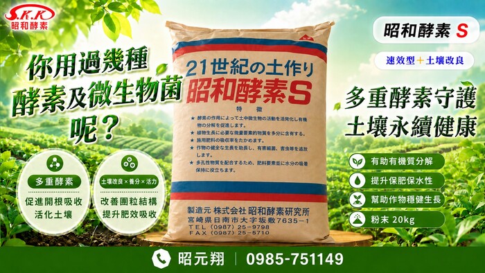 昭和酵素圖片