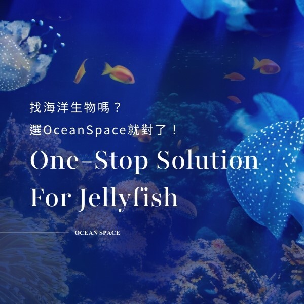 海洋空間 oceanspace圖片