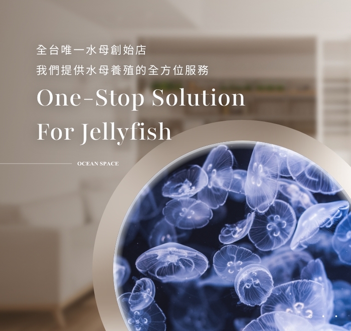 海洋空間 oceanspace圖片