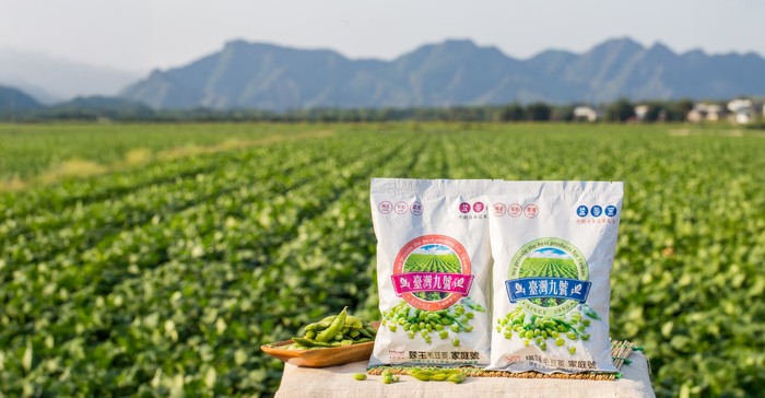 毛豆傳奇-台灣九號圖片