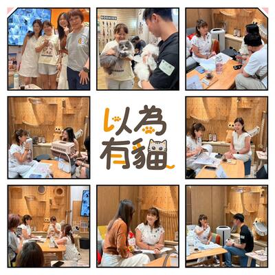 以為有貓ewaycats貓旅館圖片