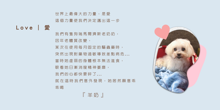 來福與旺財圖片
