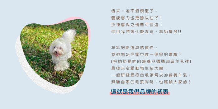來福與旺財圖片