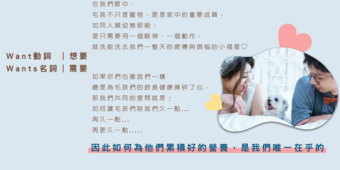 來福與旺財圖片