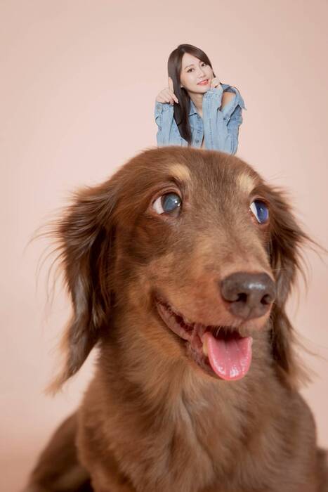 ★菲瑪影像★圖片